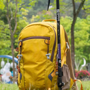 Day backpacks